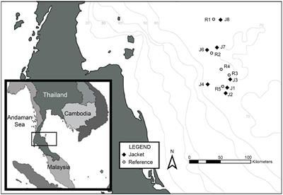 Fish Assemblages Associated With Oil and Gas Platforms in the Gulf of Thailand